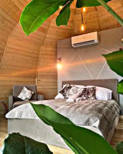 Forest Glamp & Jacuzzi