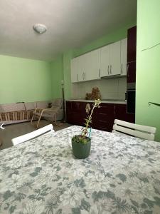 Fresh Apartment Golem