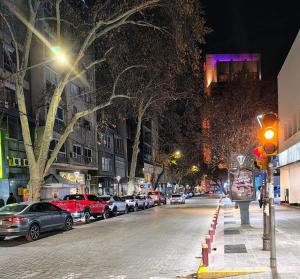 VLV AMIGORENA Mendoza