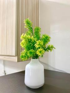 Panglao-Island Condo Unit Rental