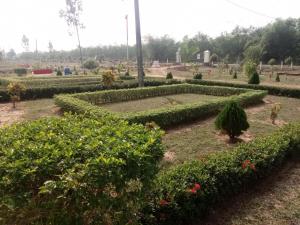 Hotel Olivia and Resort