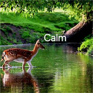 Hidden Kingston Vale-2 Bed