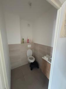 Appartements Fully equipped studio near Geneva : photos des chambres