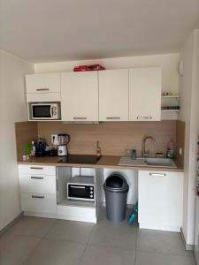 Appartements Fully equipped studio near Geneva : photos des chambres