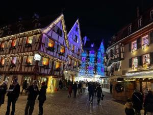 Maisons de vacances COLMAR and C0 : photos des chambres