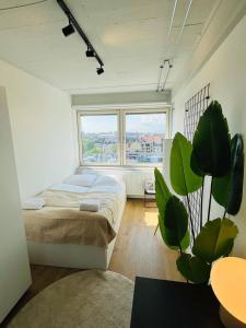 Charming Studio 5