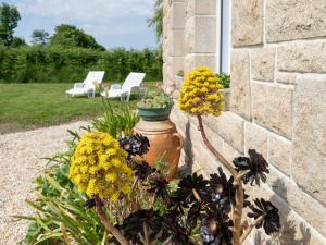 Maisons de vacances Holiday Home Ti Breizh by Interhome : photos des chambres