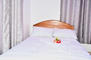 Michamvi Holiday Homes