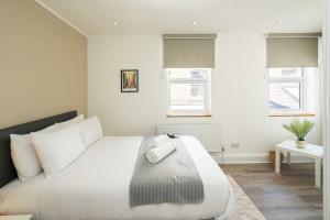 The Soho Carolina - NEW