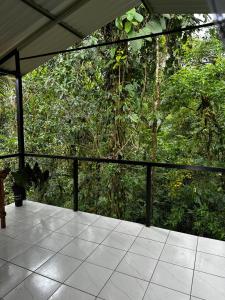 Chava Lodge On Tenorio Rio Celeste