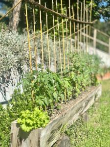 Casa da nascente douro
