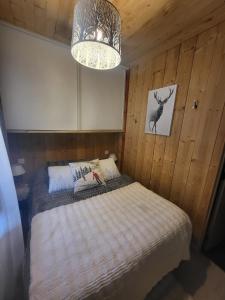 Chalets Chalet de montagne familial : photos des chambres