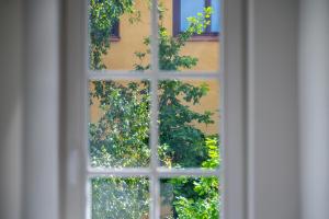 Central Bright I Etmonu st I Easy Check in I Cᴏʜᴏsᴛ