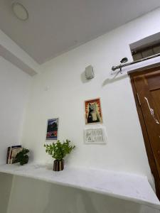 Coco spaces Hyderabad