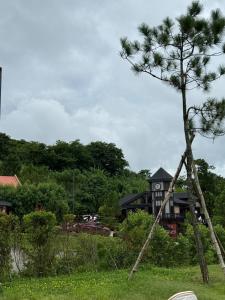 Angsana Breeze-Alpine Crosswinds Tagaytay