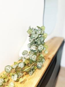 Maisons de vacances Maison Charmante - Pro & Famille - Tout Confort - 5 Chambres : photos des chambres