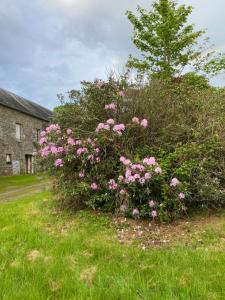 B&B / Chambres d'hotes Chateau de Saint-Pois : photos des chambres