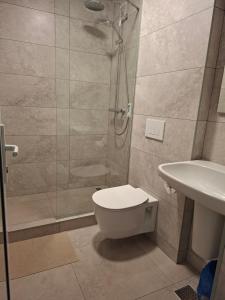 Pensiunea Valea Negrasului