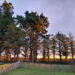 Maisons de vacances country house Land and sea : photos des chambres