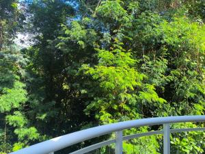 Casa com piscina em Ilhabela