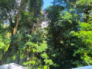 Casa com piscina em Ilhabela