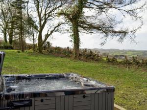 4 Bed in Llandysul 66640