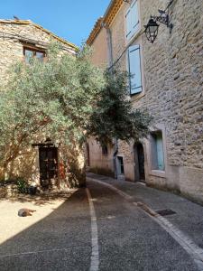Appartements Le gite des moineaux : photos des chambres