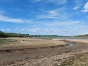 2 bed in Llansteffan 74268