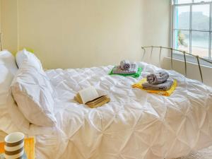 1 Bed in Tenby 83320