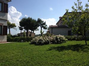 Conero Mare Verde