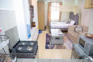 SpringStone executive STUDIO apartment A19