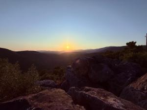 Maisons de vacances Villa provencale La Baniste : photos des chambres