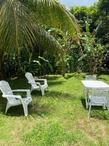 Maison charmante à Baie-Mahault avec jardin clôturé