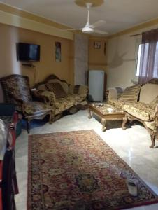 sidi bashr el tram street ali abi bash