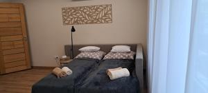 Emily Apartman Salgótarján