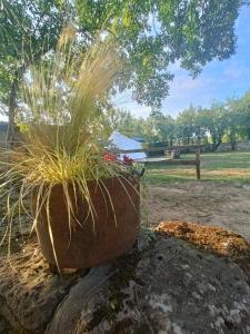 B&B / Chambres d'hotes Ecuries de Laramiere : photos des chambres