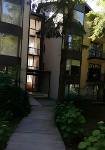 Lindo y comodo departamento en Pucon.