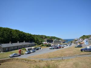 1 Bed in Porthgain 61170