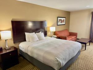 Quality Inn & Suites Pine Bluff