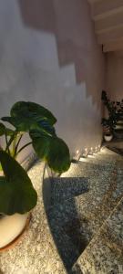 Ganga bhavan Home Stay