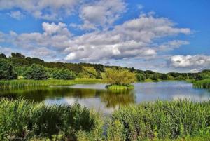 Apartament Słoneczny dla 6 osób