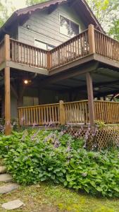 Hummingbird Hideaway - Lake Pets Hike Fish