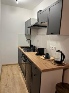 Apartament w centrum