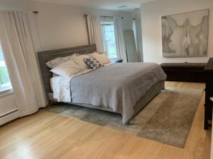 Waterfront Luxury in Town
