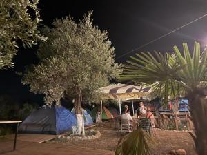 Oasis Camping