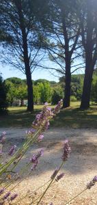 B&B / Chambres d'hotes Aux berges du pont du gard : photos des chambres