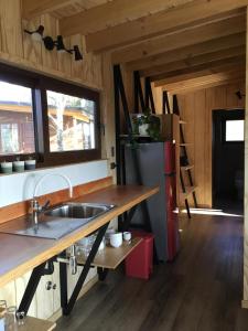 "Punucapa Lodge"