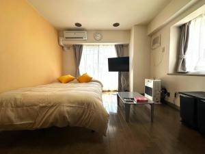 Tokan Nakanoshima Castel - Vacation STAY 19495 - 3hvězdičkové hotely ve městě Sapporo