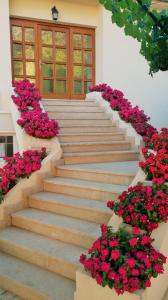 Apartmani Natalija 1