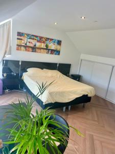 Ruime slaap kamer met werkplek en privé badkamer bij Jacqueline